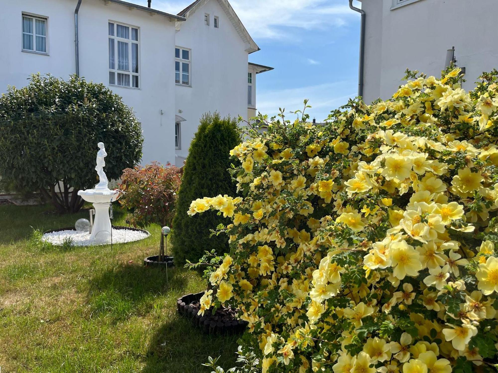 Hotel Mittag 3*