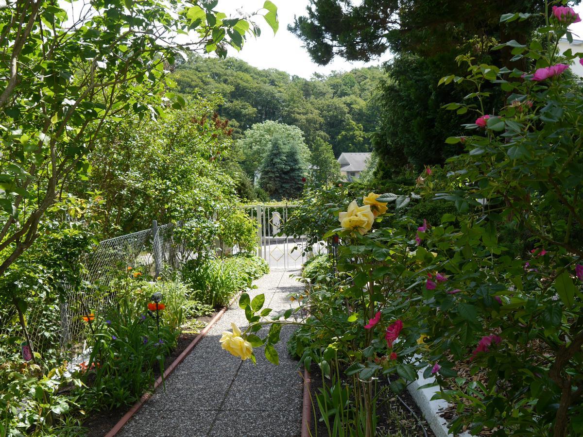 Mittag Heringsdorf (Usedom)
